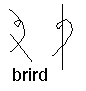 brird