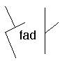 fad